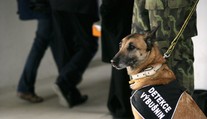 Příslušník policejního sboru kousnul pekaře a dostal padáka
