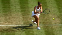 PROGRAM VYSÍLÁNÍ: V akci české tenistky ale i Roger Federer!