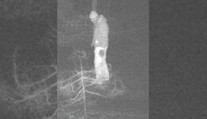 Na silnici hází klády, na auta kamení. Policie hledá u hranic fantoma
