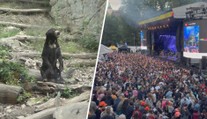 Zoologické zahrady trápí letní festivaly. Zvýšený hluk zvířata stresuje, stěžují si