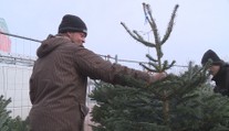 O předvánoční brigády je velký zájem. Při hledání práce pomůže aplikace