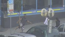 Hráli si na akční hrdiny? Kopání do stromu dvojici zatrhli strážníci! VIDEO