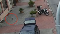 Policisté hledali v Praze vzácného kohouta. Rozuzlení všechny překvapilo