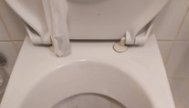 Host se nastěhoval v Praze do hotelu, na WC ho překvapila krajta královská