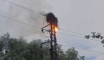 U Nového Jičína vzplálo čapí hnízdo. Hasiči v něm našli mrtvá mláďata