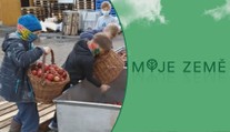 Moštárna věnovala zdravotníkům 700 litrů jablečného moštu