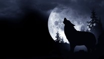 Vlčí úplněk má magickou sílu. Přináší štěstí ve hře, říká astroložka