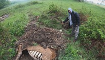 Chovatel měl tajně pohřbívat krávy za městem. Lidé se bojí o vodu ve studních