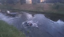 Hledaný muž skočil do řeky. Strážníkům přesto neuplaval