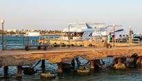 Záhadná smrt turistky v Egyptě: Nebyla to nehoda, tvrdí její rodina