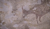 Archeologové v Indonésii zřejmě objevili nejstarší malbu světa