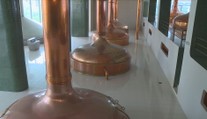 Po bludišti u Kozla se hodí Plzeň. Lidé z Plzeňského kraje lákají na výlety i pivo