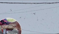 Po koronaviru přišla další rána! Indii obsadila hejna hladových sarančat