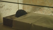 Archeologové slaví výročí přelomového objevu. Uplynulo od něj už sto let