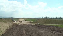 Nejdřív křeček, pak rak a čmelák. Teď už D49 nestojí nic v cestě