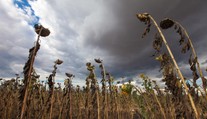 Problém se srážkami je vážný. Něco takového meteorologové nepamatují