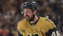 Vyřadil Nečase i další Čechy. Hertl sní o Stanley Cupu, vzpomínal i na Vašíčka