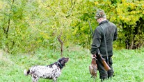 Při honu na bažanty zemřela žena! Do zad ji trefili brokovnicí