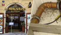 V Praze zavřeli oblíbenou restauraci. Inspekce tam odhalila vážné pochybení