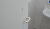 Záchodoví zloději řádí na pardubickém hřbitově. Škoda už přesahuje desítky tisíc