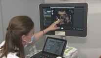 Stát chce omezit darování vajíček na umělé oplodnění. Důvodů je několik