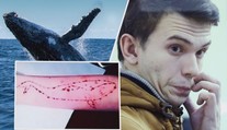 Jak vznikla Modrá velryba? Autor je zatčen, nebezpečí se ale šíří dál