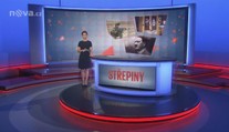 STŘEPINY: Dobrovolné vojenské cvičení ve Vyškově