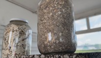 Firma na Slovensku našla využití pro nedopalky cigaret. Přidává je do asfaltu
