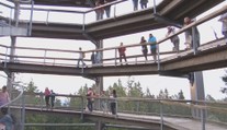 Vystoupení v korunách stromů. První umělec odstartoval letní sezonu koncertů