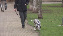 Praha naštvala pejskaře. Nová vyhláška určuje místa, kam mohou psi bez vodítka
