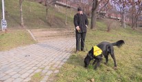Tomášovi s epilepsií pomáhá asistenční pes. Pojišťovna na ně nepřispívá