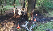 Mladý řidič zemřel po srážce se stromem. Auto začalo hned hořet