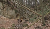 Pardubický kraj chce radikálně zmenšit přírodní rezervaci. Přejí si to starostové