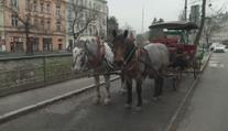 Tradiční jízdy v kočárech čeká změna. Karlovy Vary pro ně mění podmínky