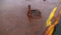 Od výbuchu Deepwater Horizon uplynulo už 15 let. Tragédie tehdy otřásla světem