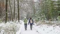 Část Česka čekají dva dny sněžení. Napadnout může několik centimetrů