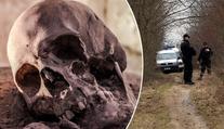Děsivý nález v Bílině na Teplicku! V křoví ležel pytel s lidskou lebkou
