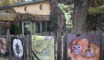 Uprchlá kobra se ve švédské zoo raději po týdnu sama vrátila do terária