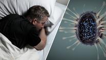 Jsme na pokraji smrtící epidemie, varují zdravotníci! Šíří se mor
