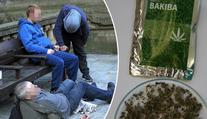 Zombie droga znovu v Česku! Přiotrávil se mladík z Opavska