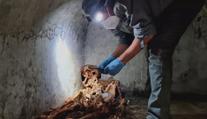 Vlasy a část ucha. V italských Pompejích objevili neobvykle zachovalou kostru