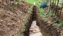 Vinice ukrývala dokonalý objev! Archeologové ho hledali desítky let