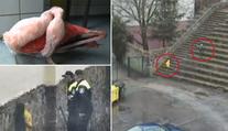 Děti ubily v Jihlavě plameňáka, ZOO se s rodiči konečně dohodla
