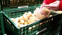 Brambory jsou čím dál tím dražší! Kilo stojí přes 20 Kč a bude hůř