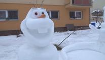 Na sídlišti vznikla sněhová říše pohádek! Žije tam sedm postaviček