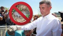 Česko vyhlásilo válku hrabošům: Štáb zasedl, zemřou i jiná zvířata