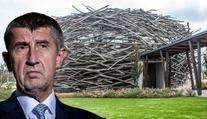 Babiš dorazil před imunitní výbor kvůli možnému vydání, výbor rozhodne 3. února