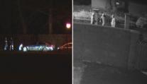 Gang nebo ne? Policie stále neví, kdo má na svědomí vykradené domy