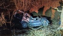 Slovenka (†19) sešrotovala auto o strom. Na místě zemřela