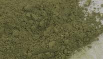 Nečekaný úlovek celníků. Zabavili 800 kilogramů kratomu, nejvíc v historii